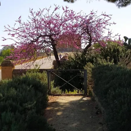 Atena Nr 1 Tatil Evi Agrigento